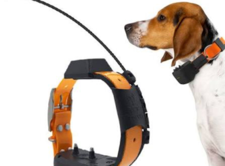 Collar GPS localizador