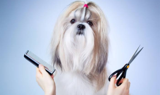 Peluquería Colitas Felices